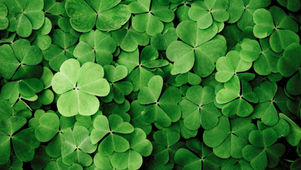 (I'm BAAACK!) And Happy St. Patrick's Day!