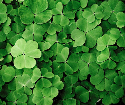 Home Cleaning in Clover South Carolina