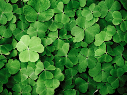The luck of the Irish