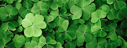 Green Clover Leaves