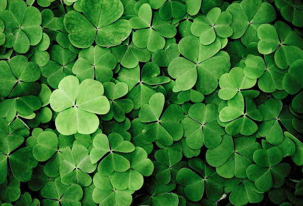Clovers