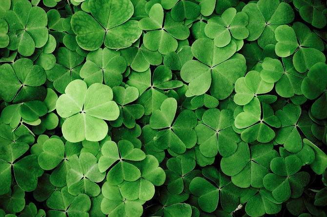 Clovers