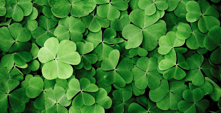 Clovers
