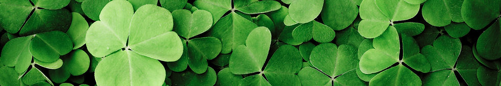 Clovers
