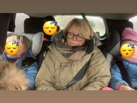 The Anatomy of the Perfect Nap: Timing, Vital Force, and Restorative Sleep