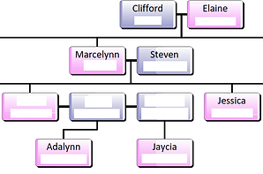 Family Tree.png