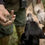 Miniatura: Caccia al Tartufo
