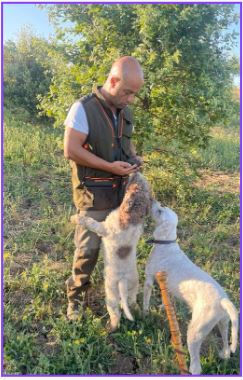 Miniatura: Caccia al Tartufo