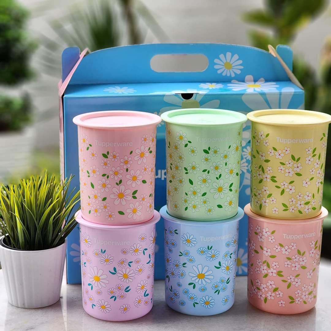 One Touch Collection Spring Set
