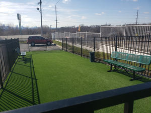bark_park2.jpeg