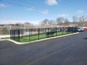 bark_park1.jpeg