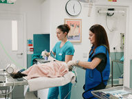 Pet surgery carried out by Dr Ellie| Vets On The Common