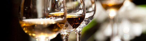 Wine Tasting Events