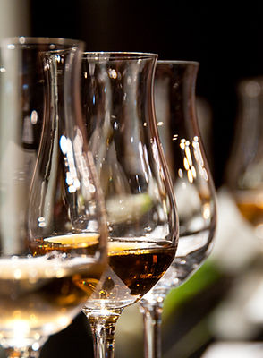 Wine Tasting Events
