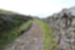 Occupation Road