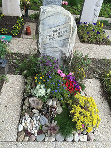 IMG_7435.jpeg