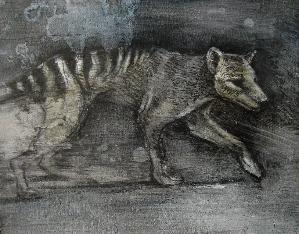 Thylacine VII