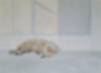 Whistler's_Dog_or_arrangement_in_grey_and_white