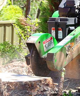stump-removal-sydney.jpg