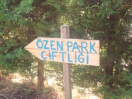 Özen Park Kindergarten Kindergartens Çiftlik Doğa
