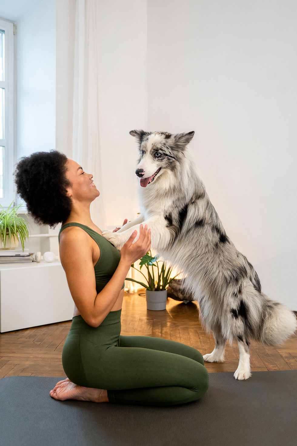 person-doing-yoga-accompanied-by-her-pet.jpg