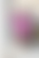 S/S 2023 has arrived!