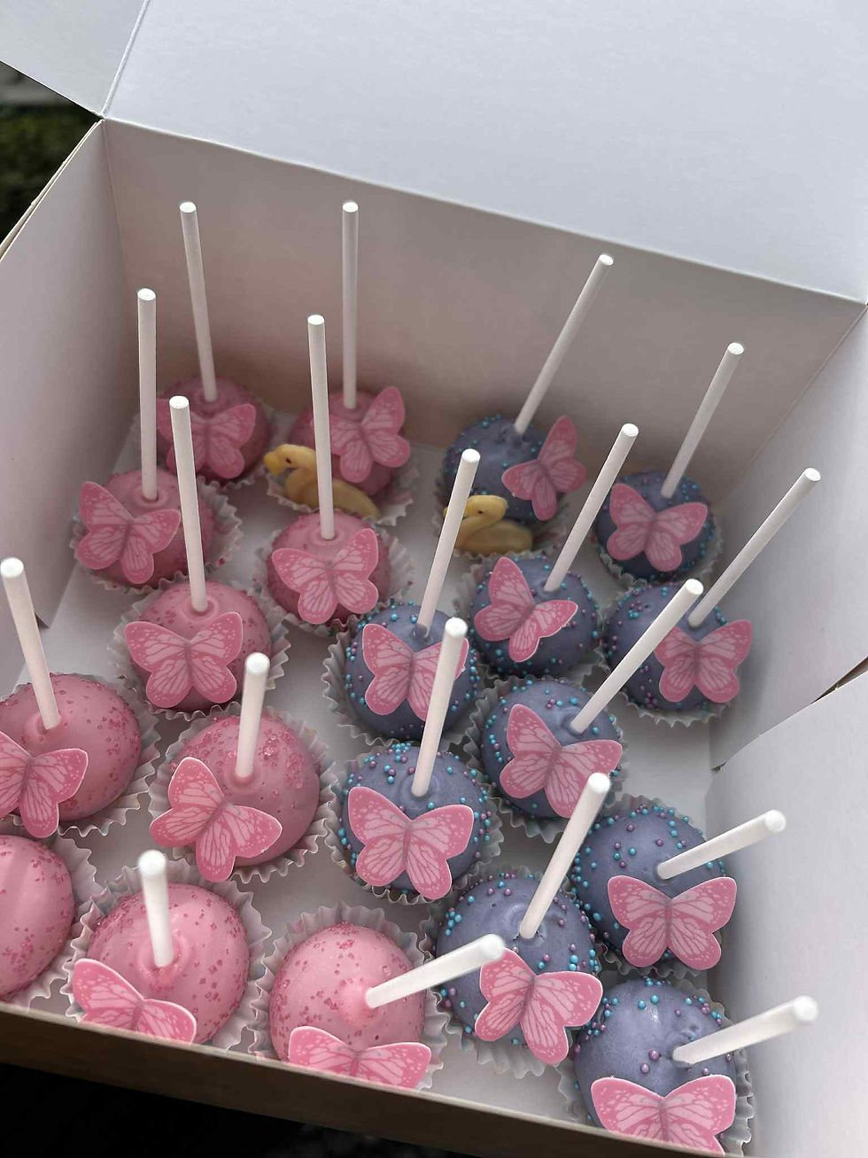 3718ba2d-443a-4812-8bbc-b5bea0cb47a4