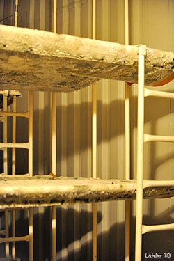 Vous parlez d'un repos !