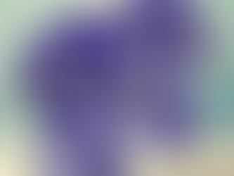 Ravens Tropical Flora – Vibrant Baltimore Ravens Hawaiian Shirt