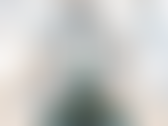 Reed Blankenship Eagles Special Ornament