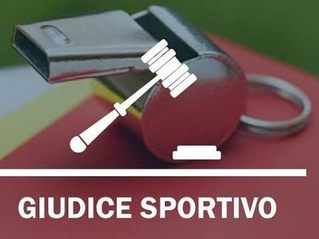 Eccellenza| Giudice Sportivo: due verdi fermati per un turno