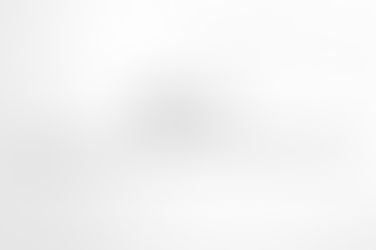 Инвесторы ICO Seele сообщили о краже мошенниками $2 млн в Ethereum