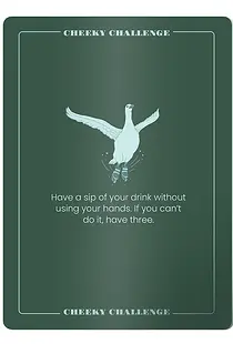 card 11.webp