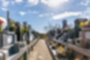 道