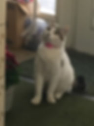 まろん6