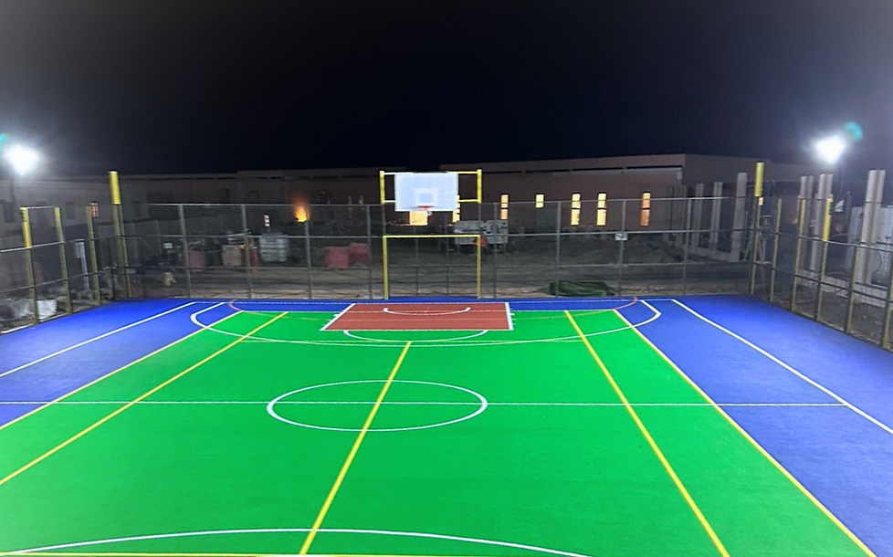 CAGE SYSTEM IMG 3.png