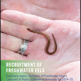 Elver Summary for Partnerships 2024-2025
