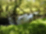 P1000816.JPG