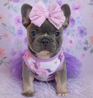 01EA9FE0-E05C-4AD6-BF6F-E49A065BA586_edi