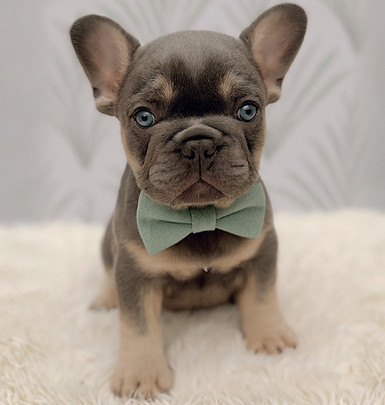 2187376E-ADA5-48E9-B474-6EA6F1A83CC8_edi