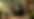 a4789708981ce875d16b6c7b1c75c897db0ede4c83c277d1f362cfce5bfb6b5f.png