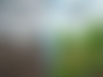 💡 AiwaAI Perspective "For millennia, our relationship with Nature was defined by struggle—a relentless fight to tame the wilderness and extract survival. Today, that struggle has metamorphosed into a suicide pact. We believe that AI is not just a tool for efficiency; it is the potential 'Rosetta Stone' for the biosphere. The ultimate goal of technology is not to insulate humanity from the Earth, but to integrate us back into its complex systems as conscious, restorative agents. We must shift from being conquerors to becoming the planet's immune system."