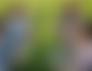 The entrepreneurs building the future of AgriTech are not just creating tools for farmers; they are designing a more resilient and secure food system for all of humanity. This post is a field guide to the opportunities ready to be cultivated.    Quick Navigation: Explore the Future of Agriculture  I. 🌱 Precision Farming & Crop Management   II. 🚜 Robotics & Autonomous Machinery   III. 💧 Water & Soil Management   IV. 🐄 Livestock & Animal Husbandry   V. 🌦️ Climate, Weather & Risk Analysis   VI. ⛓️ Supply Chain & Market Linkages   VII. 🔬 Genetics, Breeding & Crop Science   VIII. 🛡️ Pest, Weed & Disease Control   IX. 🌳 Forestry & Agroforestry   X. 📊 Farm Operations & Financial Management   XI. ✨ The Script That Will Save Humanity