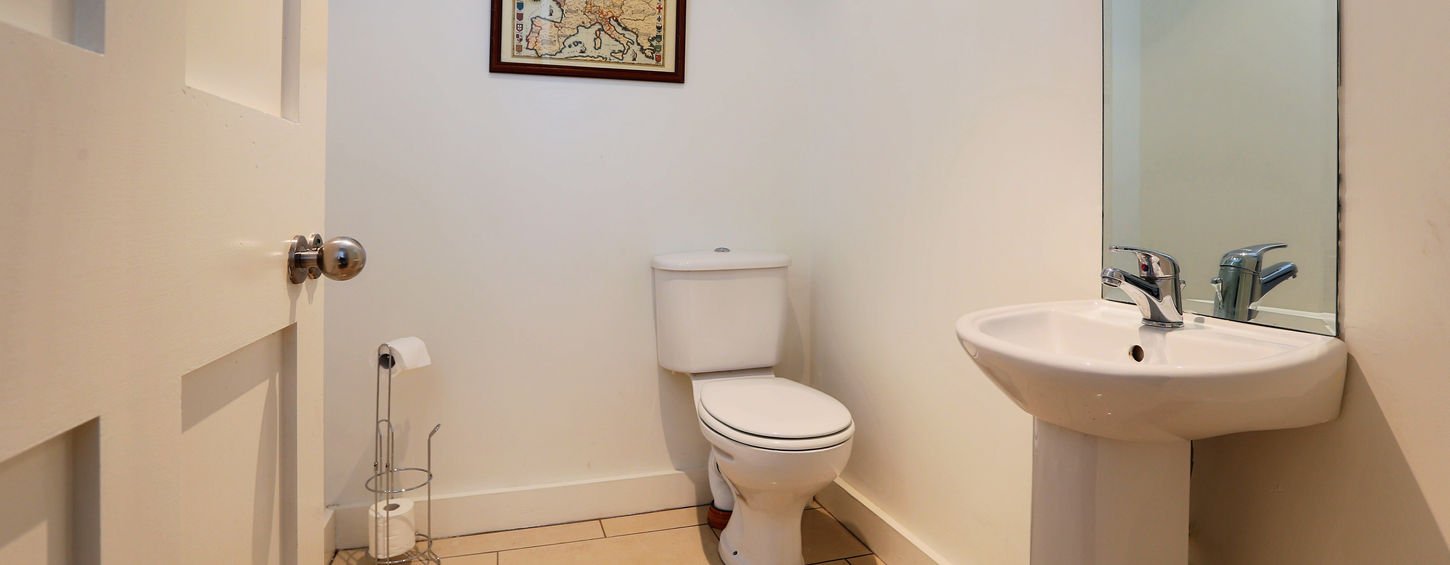 Monkstown Mews - Guest WC.jpg