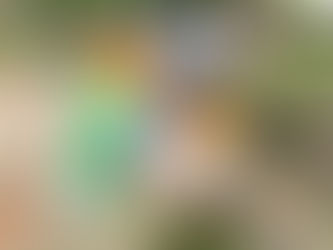 午前中の児童発達支援