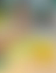 92- Rainforest Understory Layer