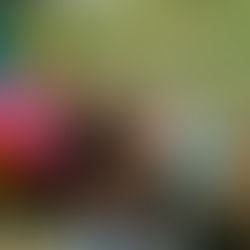 JULY HOOD RIVER EOM - LANDEN