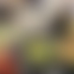 APRIL PARKDALE EOM - MISS KYLIE