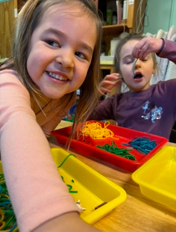 93- Rainforest Canopy Layer