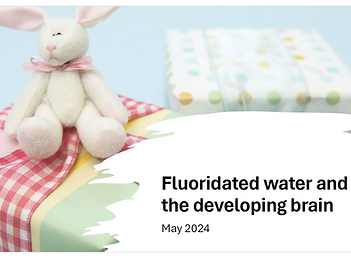 Couverture de la présentation de Windsor 2024.PNG